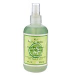 Healing Garden Cucumber Therapy 8 Oz Moisturizing Body Lotion By Coty