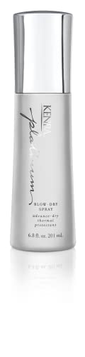 Kenra Platinum BlowDry Spray  TimeSaving Heat Protectant  Detangles  Smooths  and Softens  Eliminates Frizz  Resists Humid