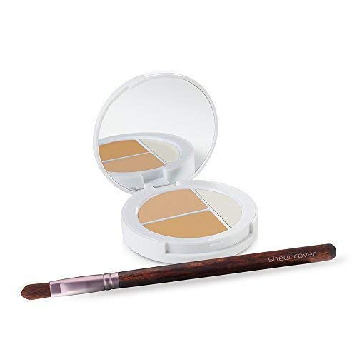 Sheer Cover Conceal And Brighten Highlight Trio, Light/Medium, With Free Brush, 3G