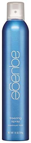 AQUAGE Freezing Spray  10 Oz  Powerful Hold Hairspray  NonSticky  Provides Humidity Resistance and Maximum Shine  The Ultimate 