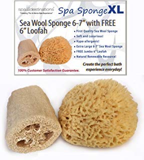 Spa Destinations Sea Wool Sponge 6-7 Inch With Free 6 Inch Loofah For Bath And Shower