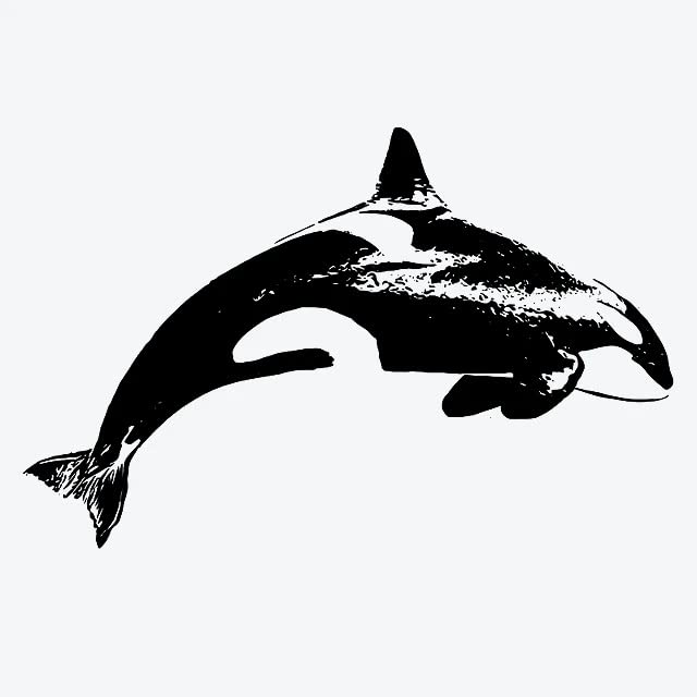 Inkbox Orca Temporary Tattoo - Semi-Permanent, Water-Resistant, 3X3 In, Lasts 1-2