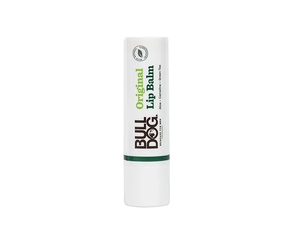 NO MELT LIP BALM Mint Julep - Moisturizing Lip Balm, 1 Count, Refreshing Mint Flavor