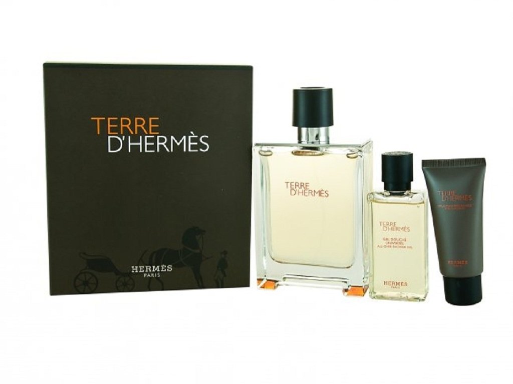 Hermes Terre D'Hermes Eau De Toilette Spray Gift Set For Men, 3.3 Oz - Fragrance Gift Set