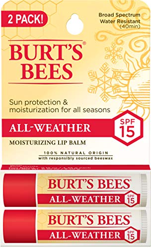 Burts Bees Lip Balm Stocking Stuffer  Moisturizing SPF 15 Lip Care Holiday Gift  100 Natural with Sunscreen  Water Reistant  Al