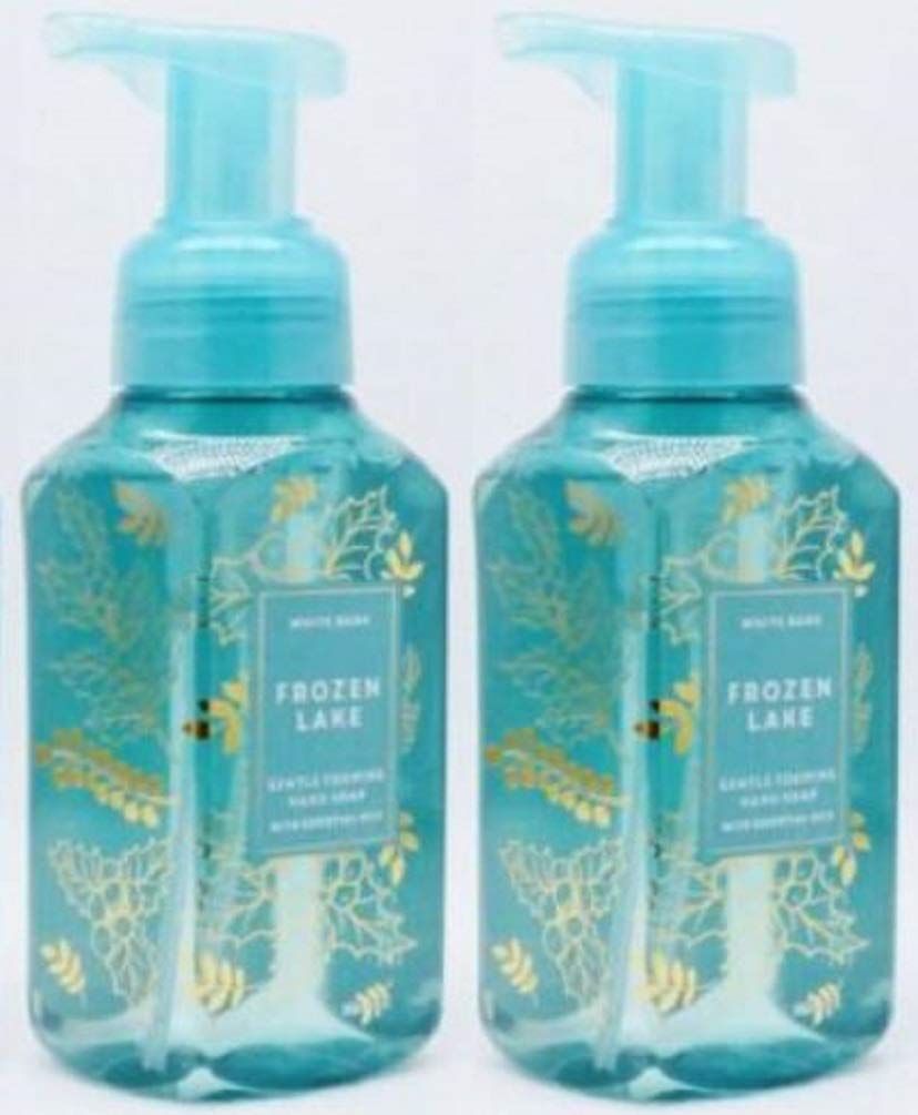 Bath & Body Works Frozen Lake Gentle Foaming Hand Soap 2 Pack, 8.75 Fl Oz Each