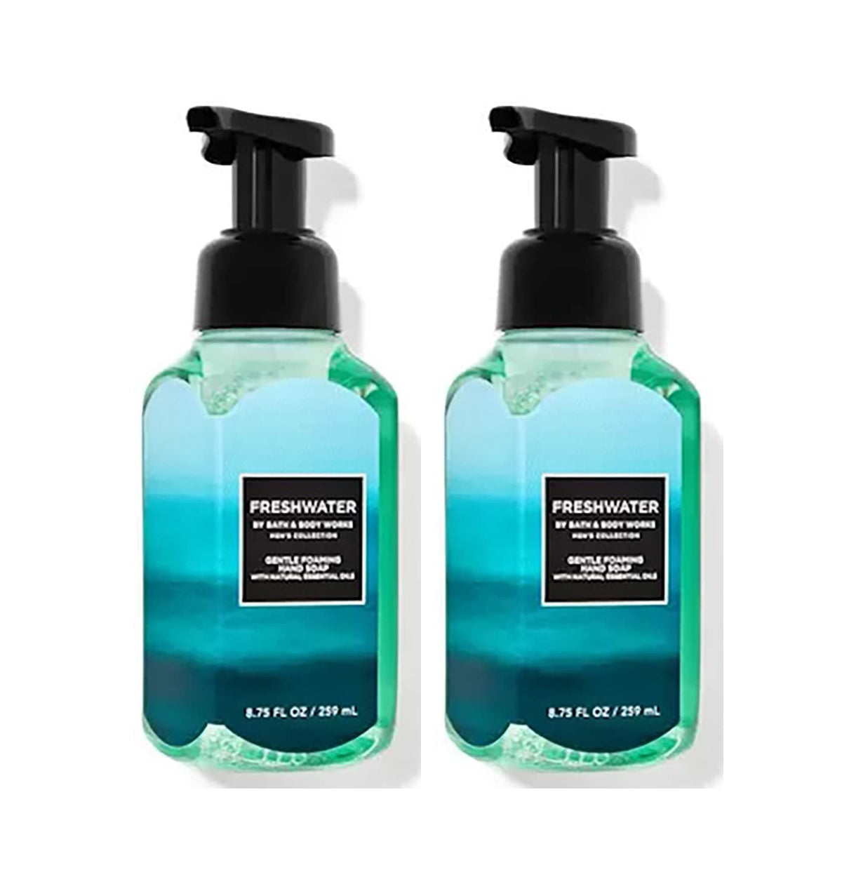 Bath & Body Works Freshwater Foaming Hand Soap 8.75 Oz 2-Pack - Gentle & Refreshing