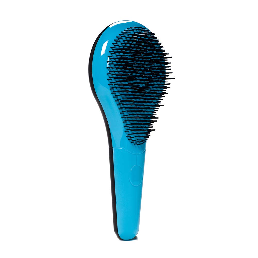 Michel Mercier Detangler Hairbrush for Thick Hair - Blue, 1 Count, Nylon Material