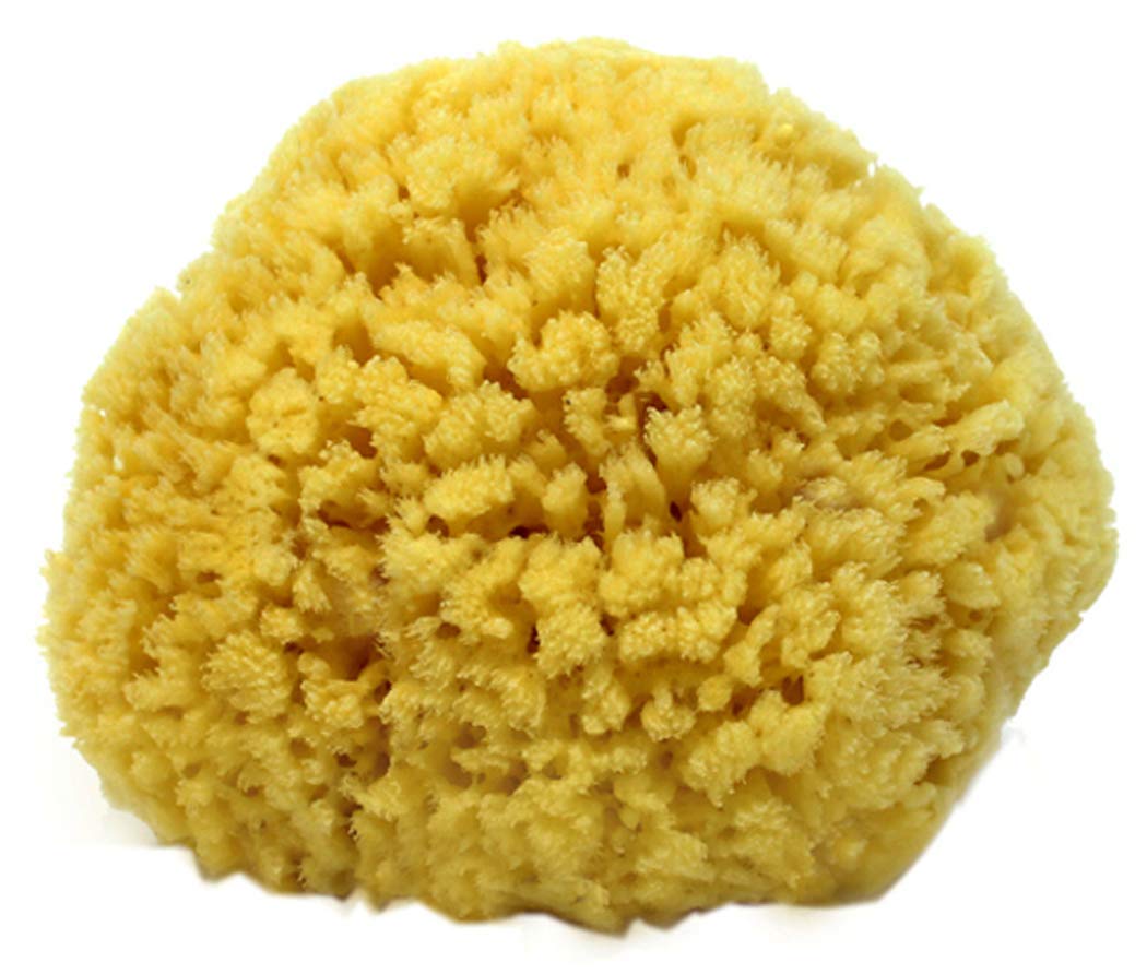 Spa Destinations Natural Sea Sponge, Small 4-5&quot;, Yellow - Perfect For Bath & Shower Experience