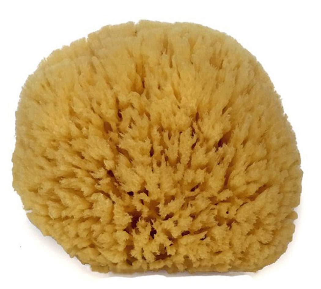 Spa Destinations Natural Sea Sponge 6-7&quot; - 100% Natural Sea Wool, Beige, At-Home Spa Essential