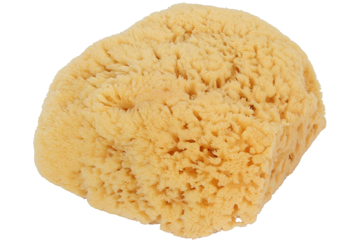 Bass Large Natural Bath Sponge Shower - 1 Count, Soft & Absorbent Sponge For Spa Experience