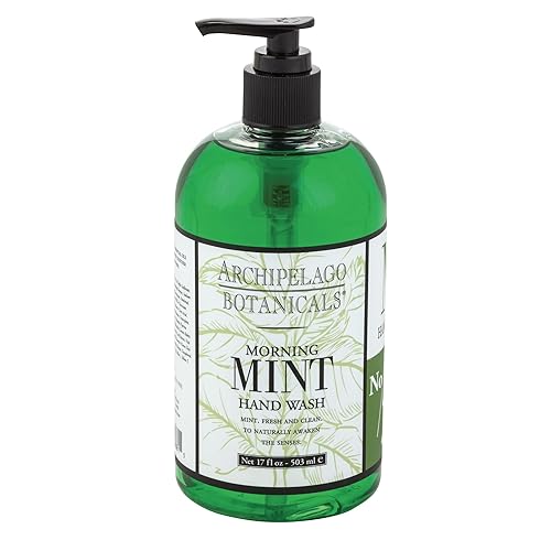 Archipelago Botanicals Morning Mint Liquid Hand Soap, 17 Fl Oz - Moisturizing Daily Hand Wash