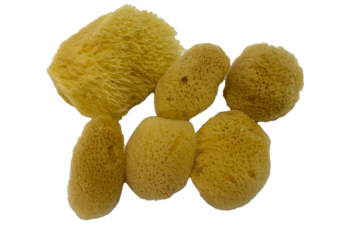 Awesome Aquatic Soft Natural Silk Sponges - 6 Pack For Makeup & Cleaning, Yellow Natural