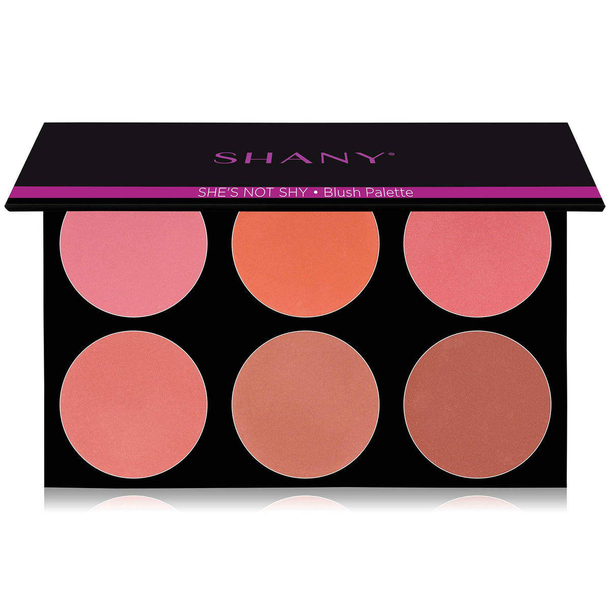 Shany Masterpiece Blush Palette - 6 Colors, She'S Not Shy, 1 Count Makeup Blush