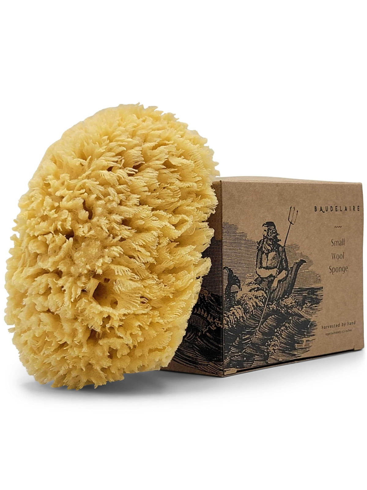 Baudelaire 4.5&quot; Sea Wool Sponge - Natural Bath Sponge, Durable, Eco-Friendly Loofah For Shower