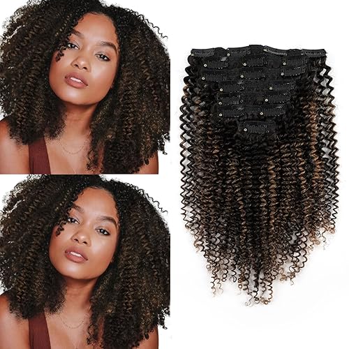 Sassina Kinky Curly Clip Ins 20&quot; Remy Hair Extensions for African American Women, Natural Black/Brown