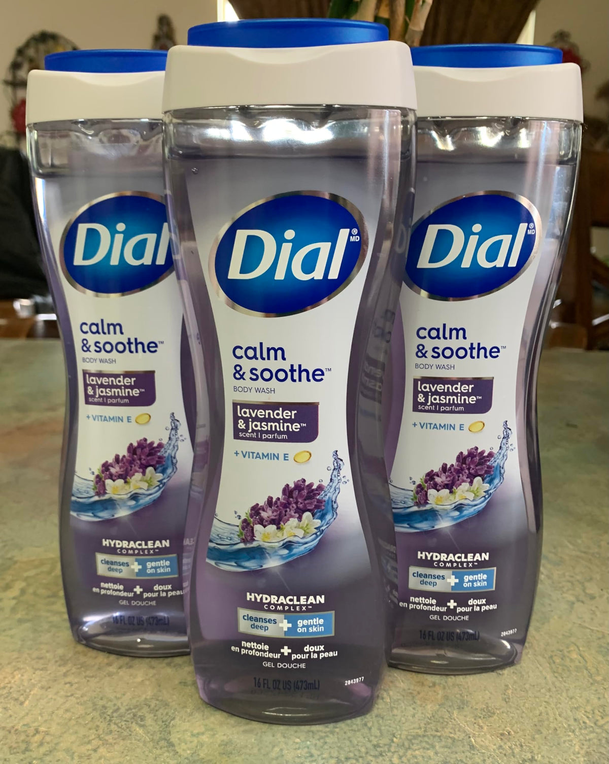 Dial For Men Body Wash, Odor Armor, 16 Fl Oz - Pack Of 3, Refreshing Cleansing Formula