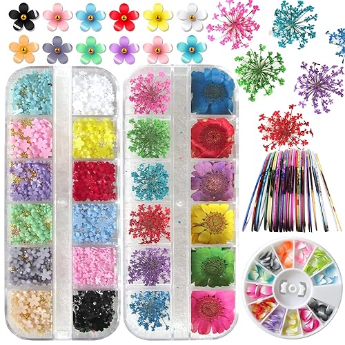 Loveourhome 3D Flower Acrylic Nail Art Charms - Colorful Daisy Dried Flowers & Holographic Tape