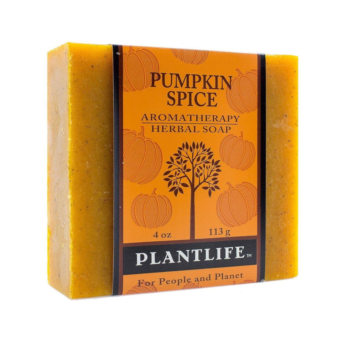 Plantlife Pumpkin Spice Bar Soap - Moisturizing, Handcrafted, 4Oz Natural Skin Care