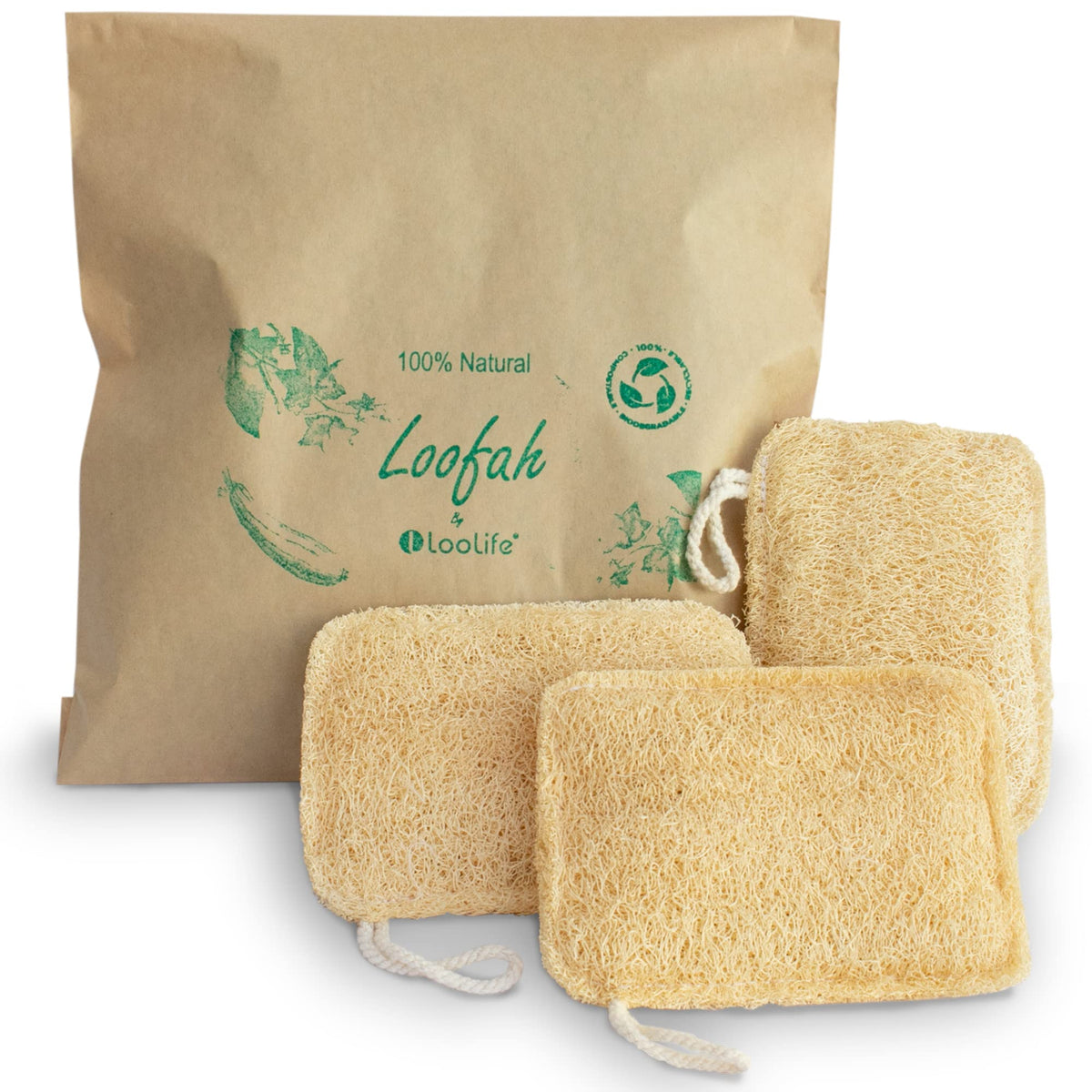 Loolife Natural Loofah Exfoliating Sponge 3 Pack - Organic Biodegradable Body Scrubber