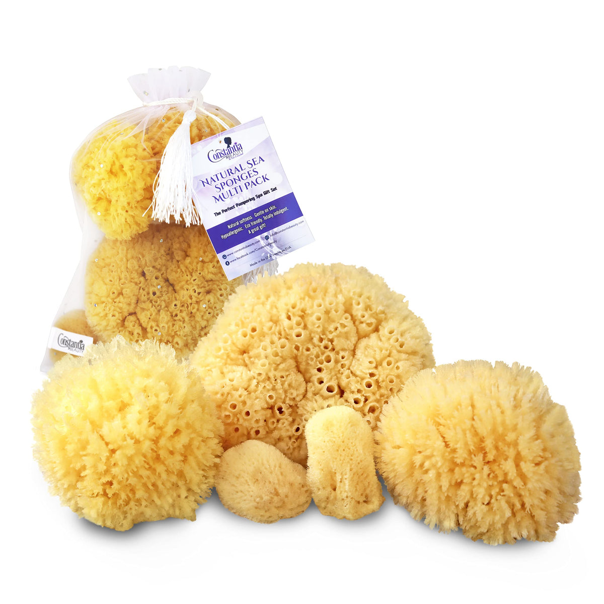 Constantia Beauty Real Natural Sea Sponges 5Pc Spa Gift Set - Eco-Friendly Bath & Facial Care