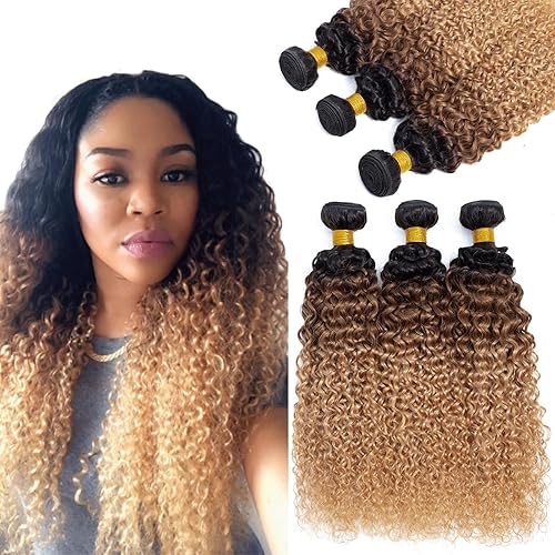 ROYAL IMPRESSION 12A Ombre Curly Hair Bundles, 100% Virgin Brazilian, 26&quot; - 3