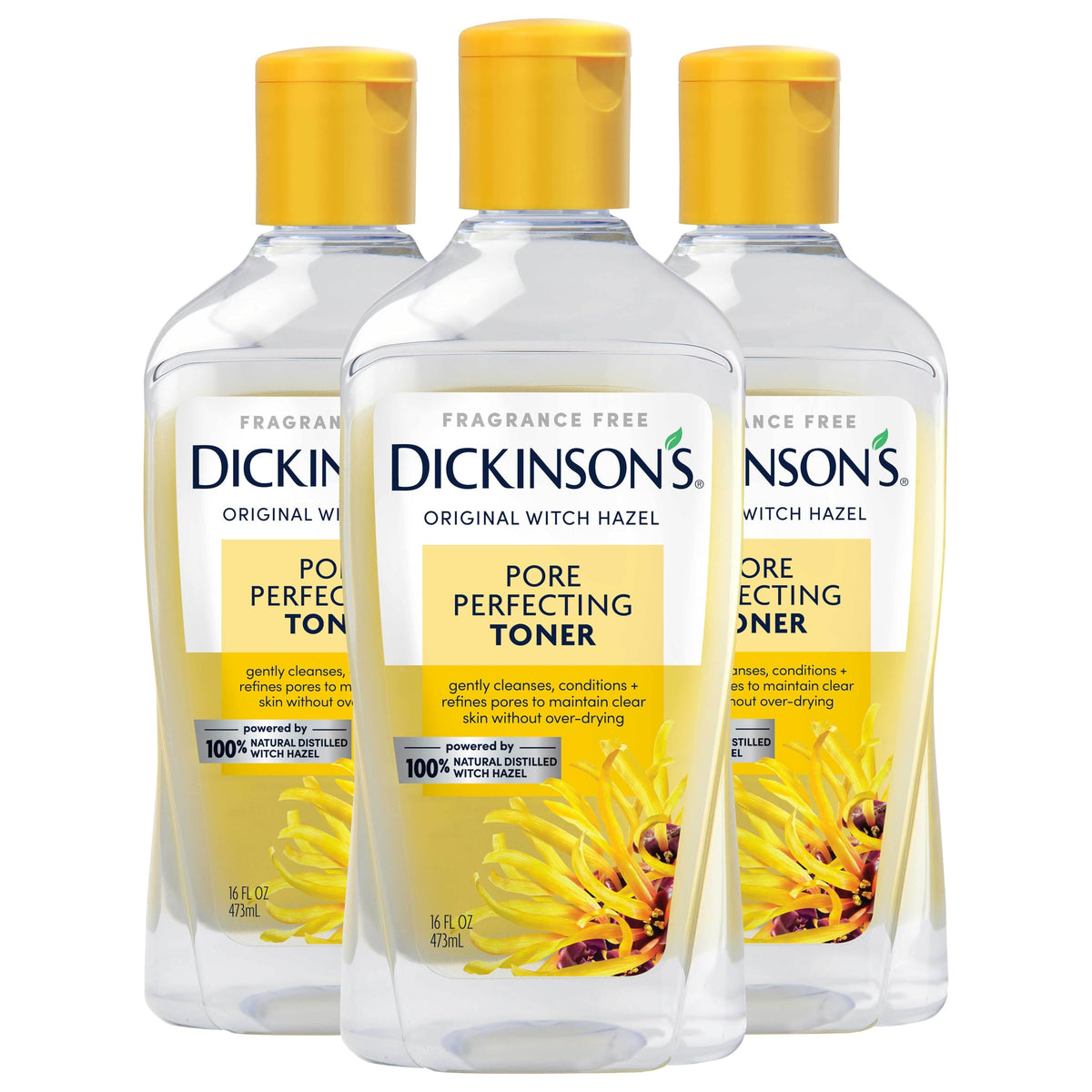 Dickinson'S Witch Hazel Pore Perfecting Toner, 100% Natural, 16 Fl Oz (3 Pack)