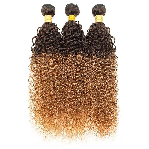 FASHION VILA Brazilian Ombre Curly Hair Bundles 100% Human Hair 20 22 24 T4/30