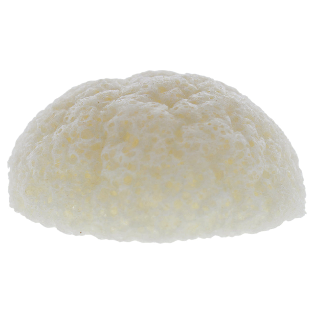 Natural Konjac Sponge by Erborian for Women  35 oz Sponge