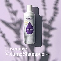 Young Living Lavender Volume Shampoo - Cleanses and Nourishes Fine Hair - 8 fl oz