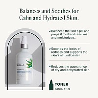 InstaNatural Rose Water Toner, Rose Water Spray for Face, Hair, and Body, Spray Toner and Pore Minimizing Primer With Rose Water and Naturally Derived Lactic Acid