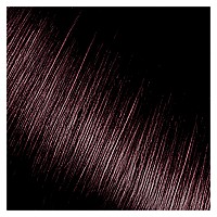 Kiss Express Semi-Permanent Hair Color 100mL (3.5 US fl.oz) (1 Count, Darkest Brown)