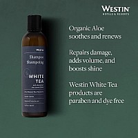 Westin White Tea Aloe Shampoo - Vitamin and Antioxidant-Packed Shampoo for All Hair Types - Signature White Tea Aloe Scent - Amenity Set of 2-8 ounce Bottles
