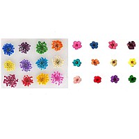 XICHEN 120 PCS/ 2Boxes Five Flower Flower Three-Dimensional Applique 3D Nail Stickers Nail Supplies Dried Flowers(Starry and Five Flower)