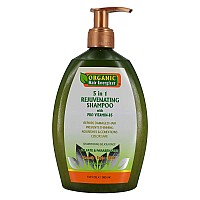 Organic Hair Energizer 5 In 1 Rejuvenating Shampoo 13 Oz