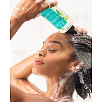 Carols Daughter Wash Day Delight Love at First Wash Water To Foam Sulfate Free Shampoo with Aloe and Micellar Water, Paraben Free, Silicone Free, Micellar Shampoo for Kinky, Curly Hair, 16.9 fl oz