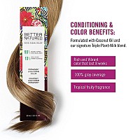Better Natured Permanent Liqui Creme Hair Color Dye Kit | 100% Gray Coverage | Rich & Vibrant Coloring | Naturally-Derived | Vegan | 3N Dark Natural Brown