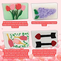 Primal Elements Valentine's Day Assorted Soap Set (Pack of 8), 100 Gram size