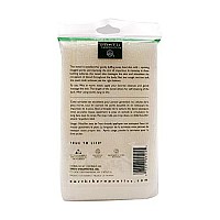 Earth Therapeutics Hydro Exfoliating Towel, 1 each