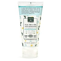 Earth Therapeutics Tea Tree Oil Foot Balm -Australian Tea Tree Oil with Aloe Vera & Chamomile - Hydrates, Softens & Conditions Dry Cracked Feet, Heel and Calluses - Soothe Irritated Skin ~6 Oz