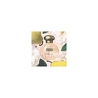 Tocca Eau De Parfum Florence 17 Oz