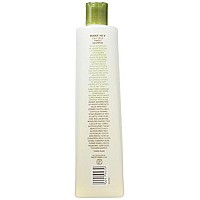 Trader Joe's Tea Tree Tingle Shampoo with Peppermint, Tea Tree and Eucalyptus Botanicals, 16-Ounces