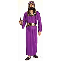 Biblical Times Wise Man costume Adult Men Standard