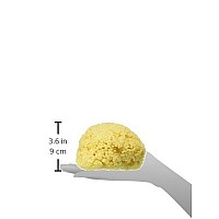 Bath Accessories Sea Sponge, Large/6