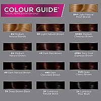 John Frieda Precision Foam Color, Light Natural Brown 6N, Full-Coverage Hair Color Kit, With Thick Foam For Deep Color Saturation, Stocking Stuffer