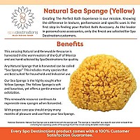 Natural Sea Sponge 6-7 by Spa Destinations Creating The At-Home Spa Experience