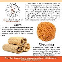 Natural Sea Sponge 6-7 by Spa Destinations Creating The At-Home Spa Experience