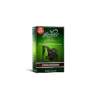 Reshma Beauty 30 Minute Henna Hair Color Infused With Goodness Of Herbs, Henna Hair Color For Soft Shiny Hair, Henna Hair Dye (Dark Brown, Pack Of 1)