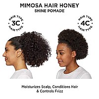 Carol's Daughter Mimosa Hair Honey Shine Pomade for Textured and Curly Hair - with Shea Butter & Rosemary Oil, 8 fl oz