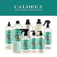 Caldrea Hand Wash Soap, Aloe Vera Gel, Olive Oil And Essential Oils To Cleanse And Condition, Pear Blossom Agave Scent, 10.8 Oz